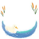 ördek