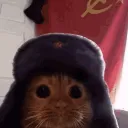 𝗣𝗶𝘅𝗲𝗹 𝗛𝗬