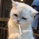 ༒KARMA༒