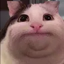 Şişman Kedi