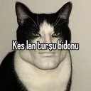 BilalBera2424
