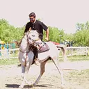 Gökdeniz