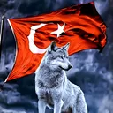 ★ ₵₳₥₱Ø₦İ₴₳Ⱡ ★