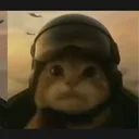 Ciboli