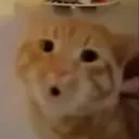 Wick