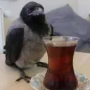 𝒫ℴ𝓌ℯ𝓇③⑤④