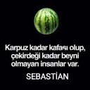 Poyraz48