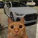 AudiRs6AvantGt