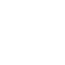 raven_classic