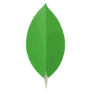 mongodb