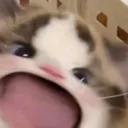 emoji_29
