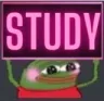 elma_study