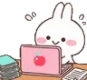 elma_study_bunny