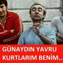 gunaydn