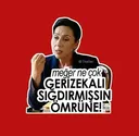 gerizekal