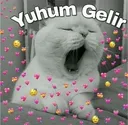 uykumgeldi