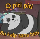 kalp