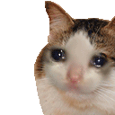 emoji_12