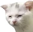 emoji_20