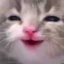emoji_22