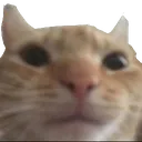 emoji_23