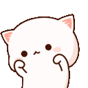 kedi4