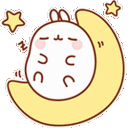 uyku