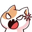 cat1