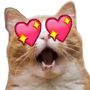 catlove