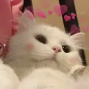 darknes_sweetie