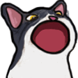 6744tuxedopopcat