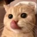 deviland_kedii