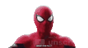 1356_spiderman_shit