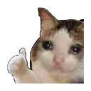 ok_sadkedy