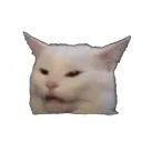 what_00