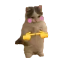 uWu_Cat