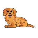 almaYzeyi3