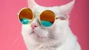 KEDi