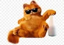 garfeld_keops