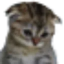 sgn