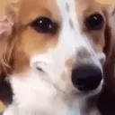 uuu