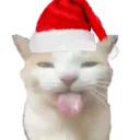 ahbaplarnoel_12