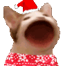 ahbaplarnoel_9