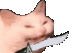 gifcat3