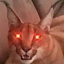 cat9