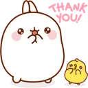 2312molangthankyou