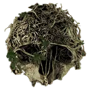 theforest