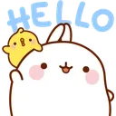 hellooovgrncy