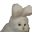 davsanvgrncy