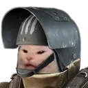 cat6_ok